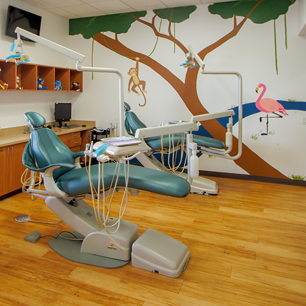 Top Rated Pediatric Dentist