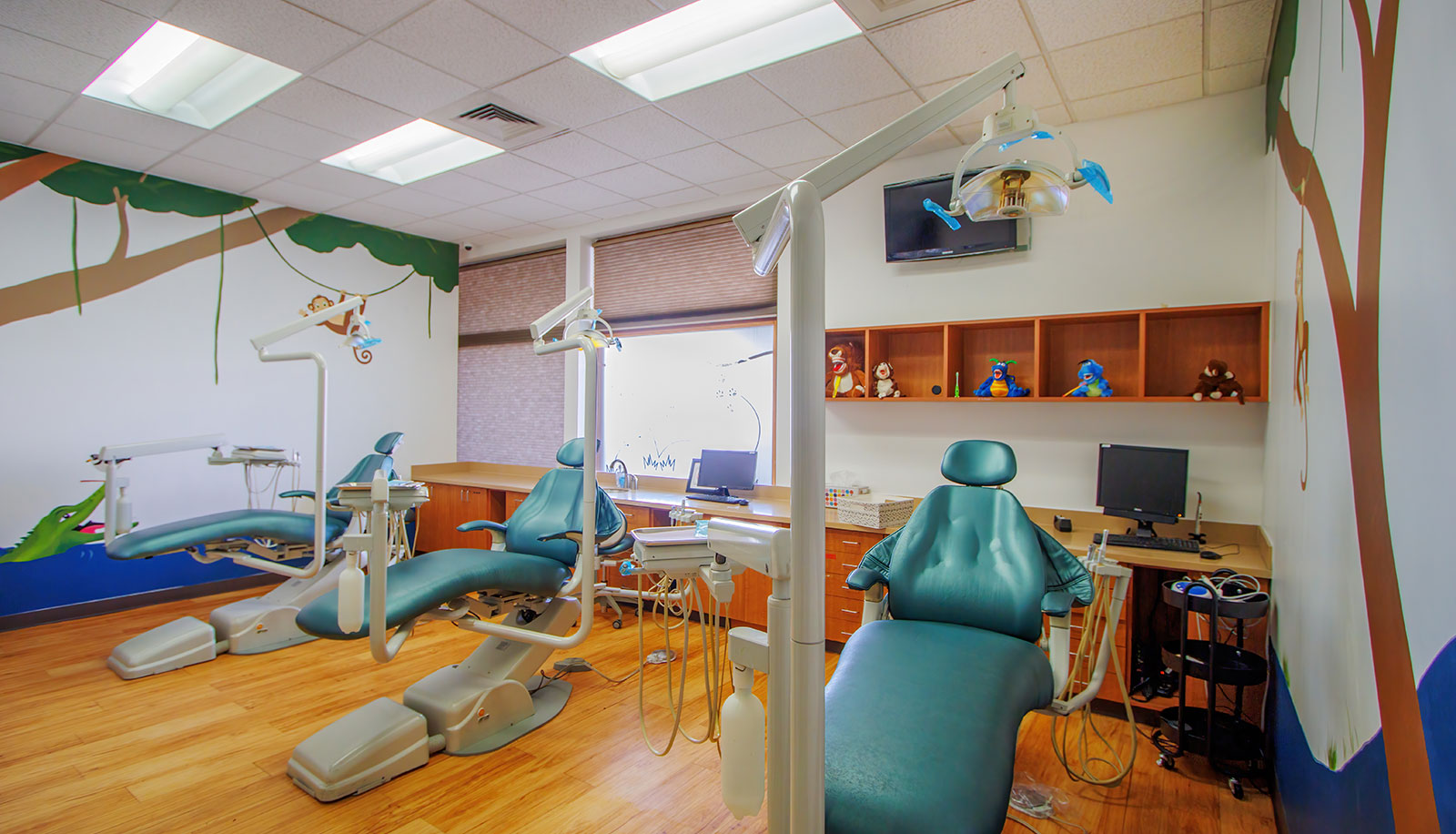 Pediatric Dentist in Mesa