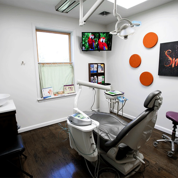 Dentist in 12508