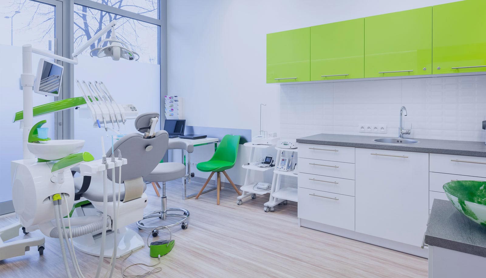 Dentist in Snohomish