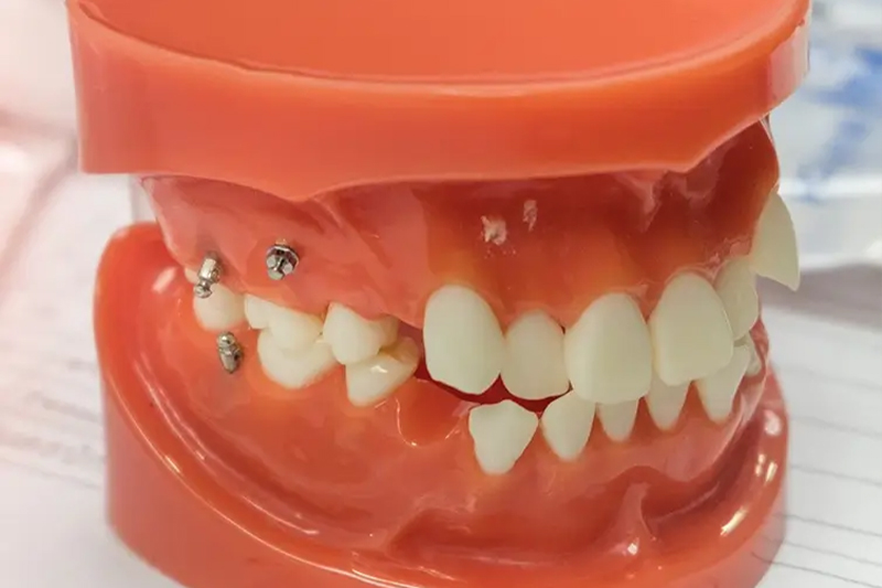 Appliances in Wesley Chapel