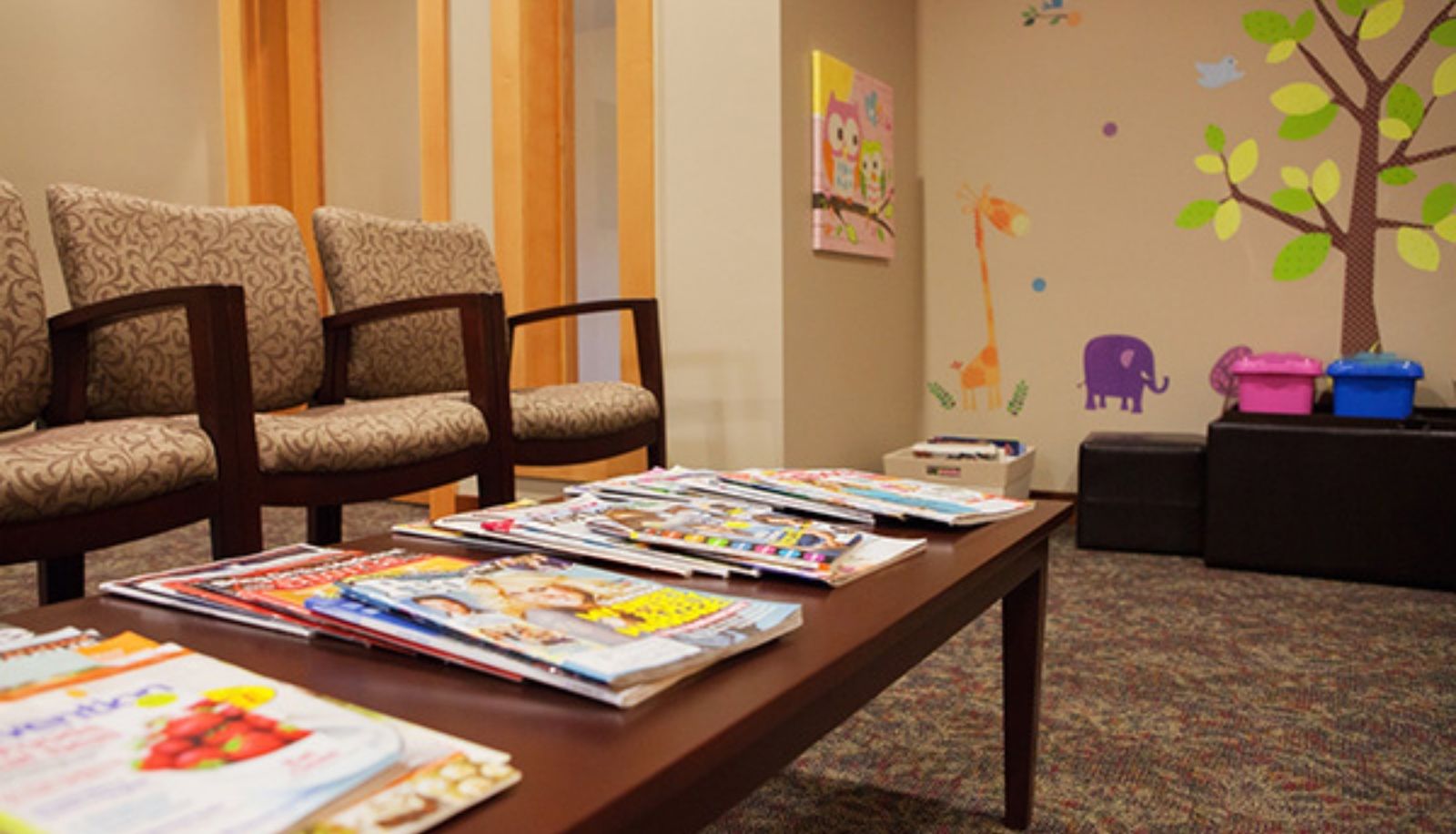 Dentist in Wilsonville