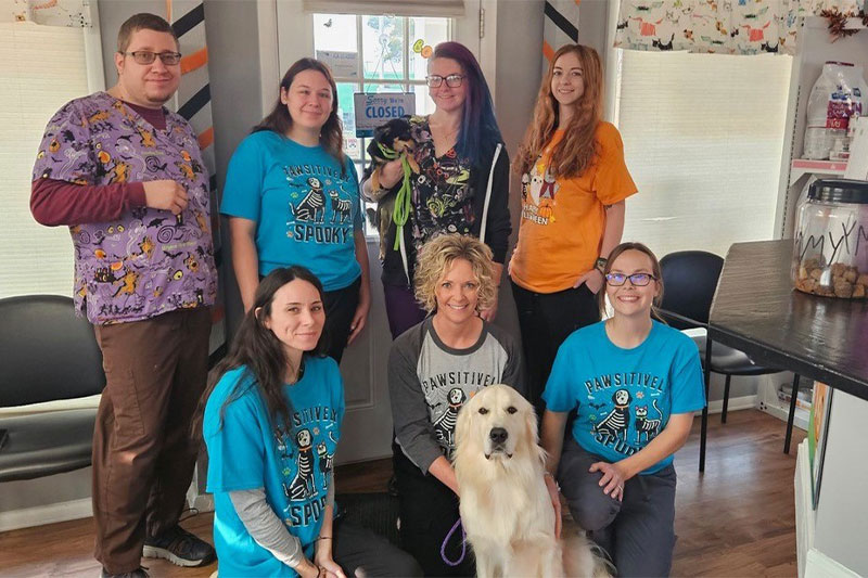 Veterinarian in Elmwood