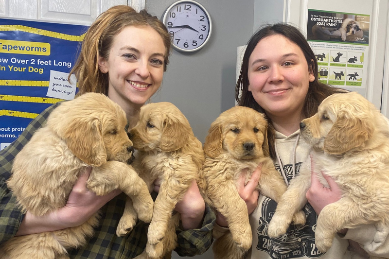 Prenatal and Post-Natal Care in Williamsfield & Elmwood