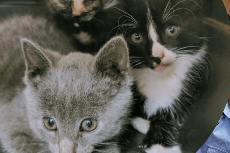 Prenatal and Post-Natal Care in Williamsfield & Elmwood