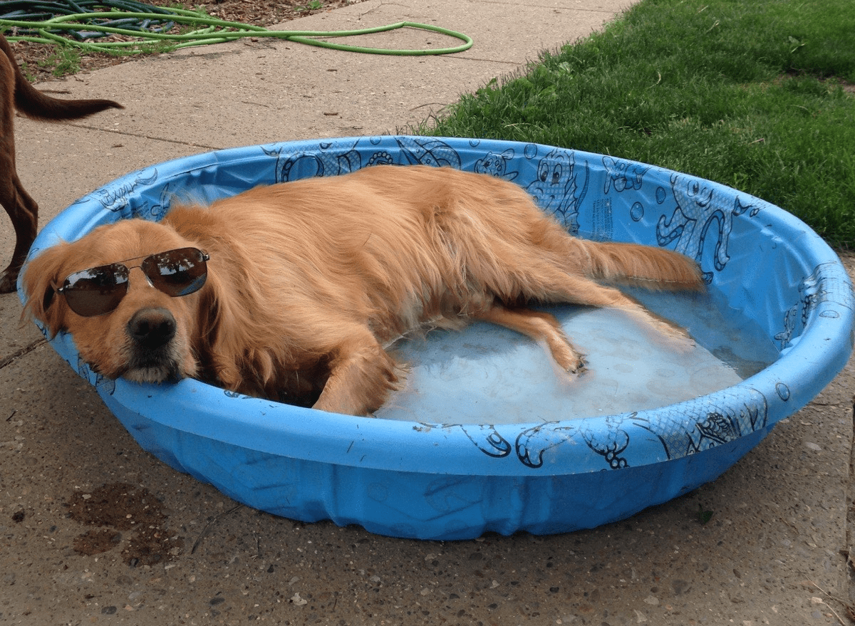 Senior Care in Williamsfield & Elmwood