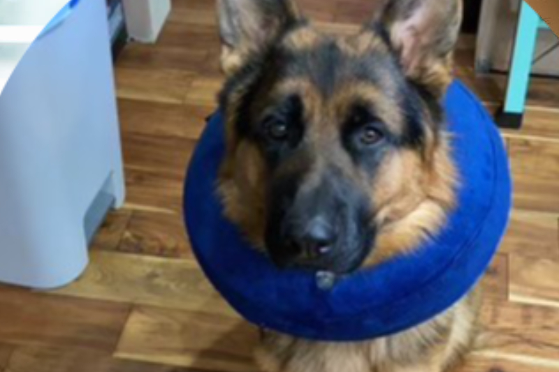 Surgery in Williamsfield & Elmwood