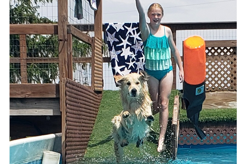 Pennhip X-rays in Williamsfield & Elmwood