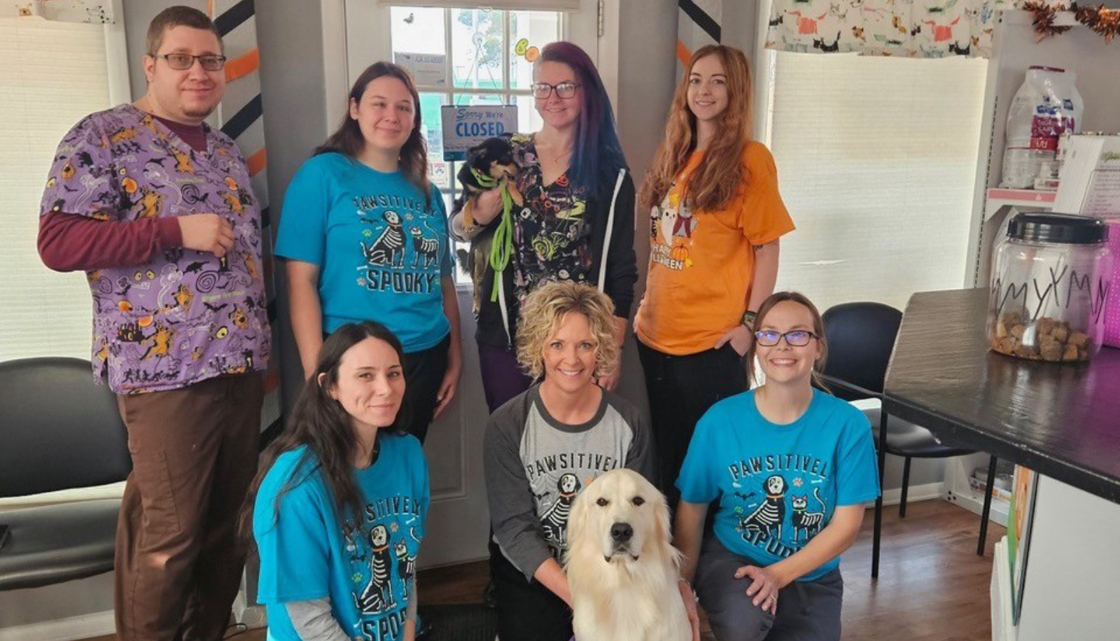 Veterinarian in Williamsfield & Elmwood