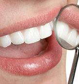 Adult membership plan