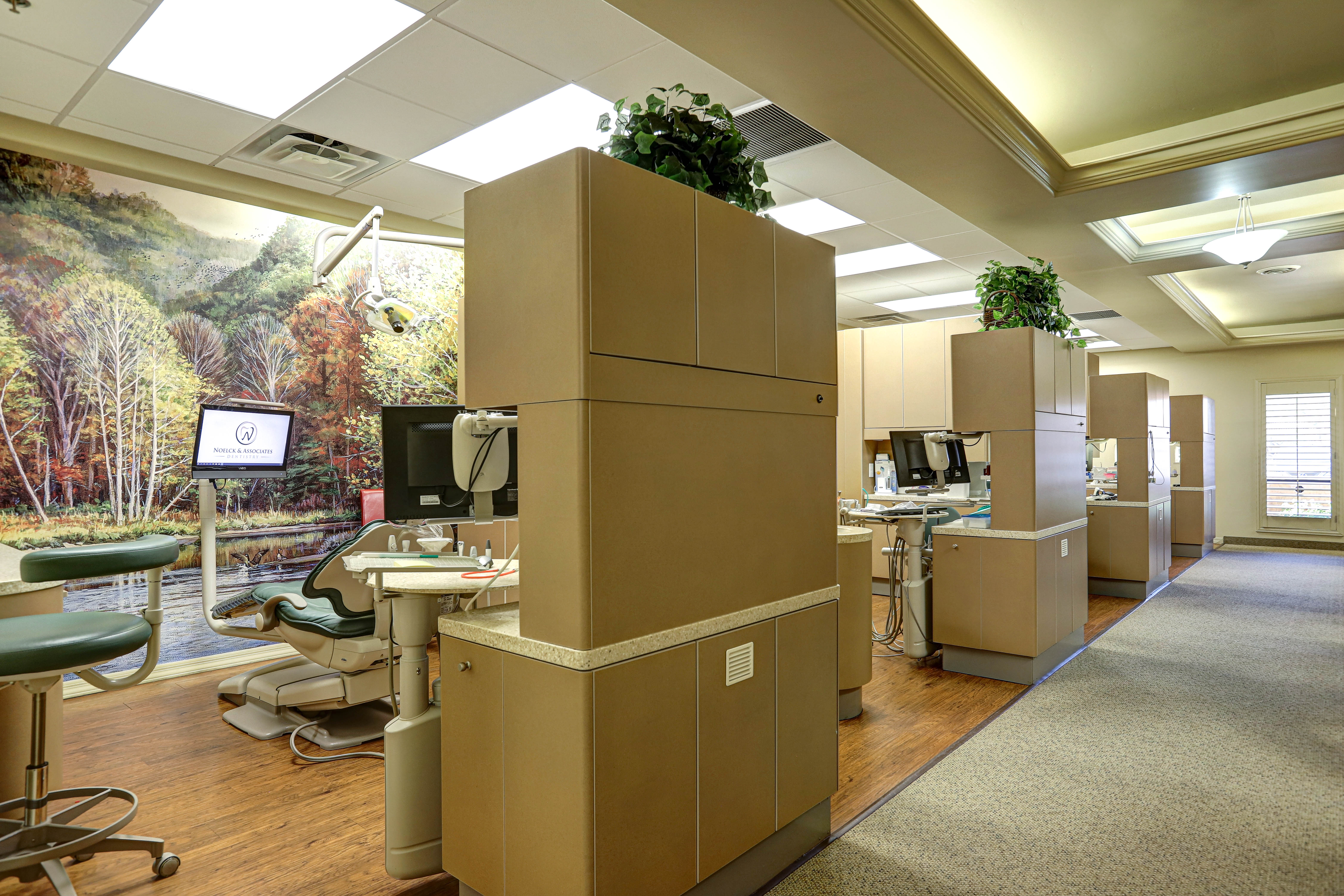 Top Rated Dentist