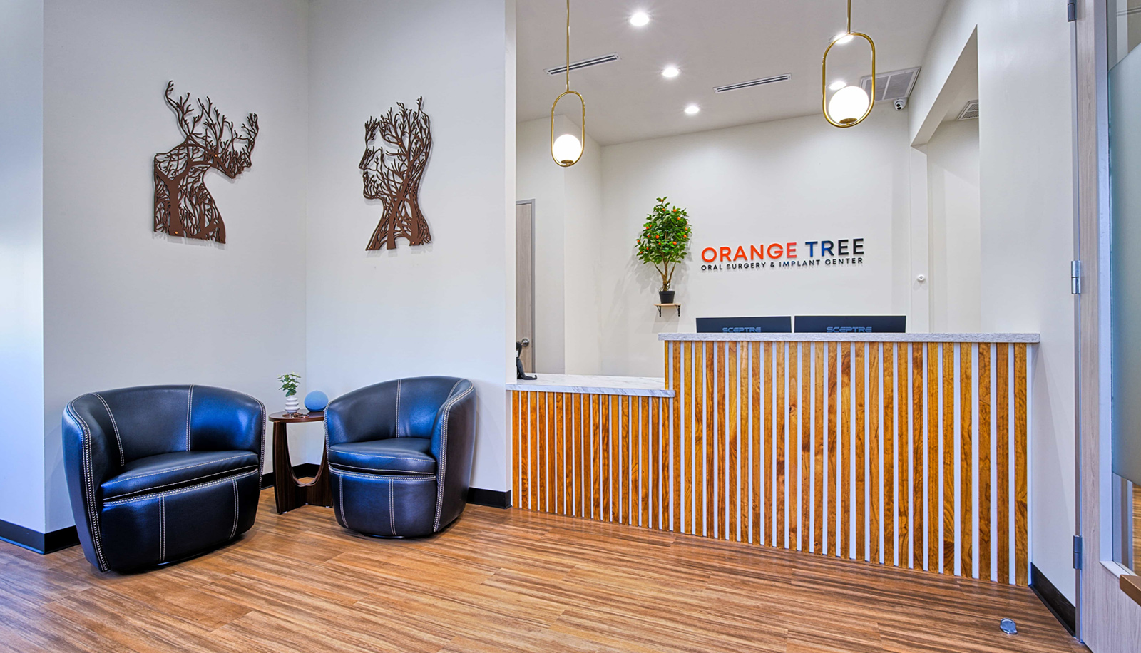 Oral Surgeon in Katy